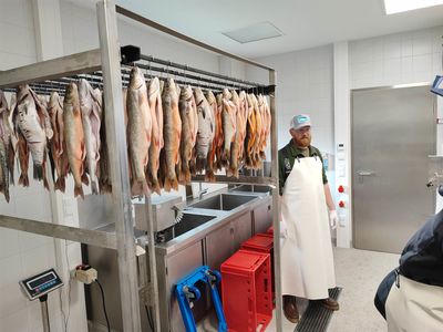 Über 100 Fische (Saiblinge und Weißfische) sind für den Räuchervorgang vorbereitet. Der Auszubildende Simon Krumpenthaler beteiligte sich ebenfalls aktiv am Kursgeschehen.