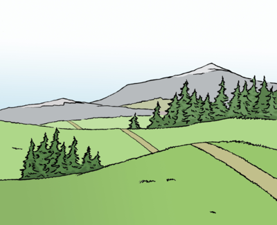 Landschaftsbild: Grüne Wiesen und Wälder, im Hintergrund sind Berge zu sehen.