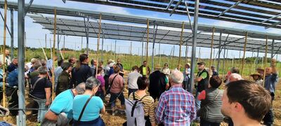 Vor zahlreichen Interessierte erklärte Betriebsleiter Hans Göding (Mitte) unter der neuen Agri-PV-Anlage deren Vorteile. 