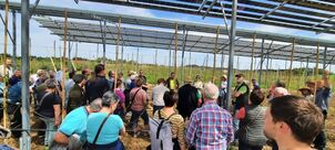 Vor zahlreichen Interessierte erklärte Betriebsleiter Hans Göding (Mitte) unter der neuen Agri-PV-Anlage deren Vorteile. 